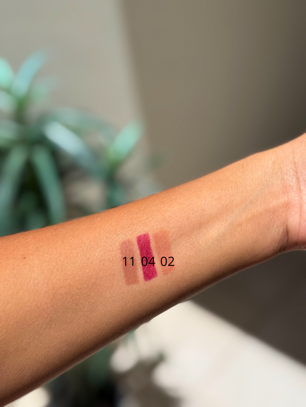 Lip Liner (02)